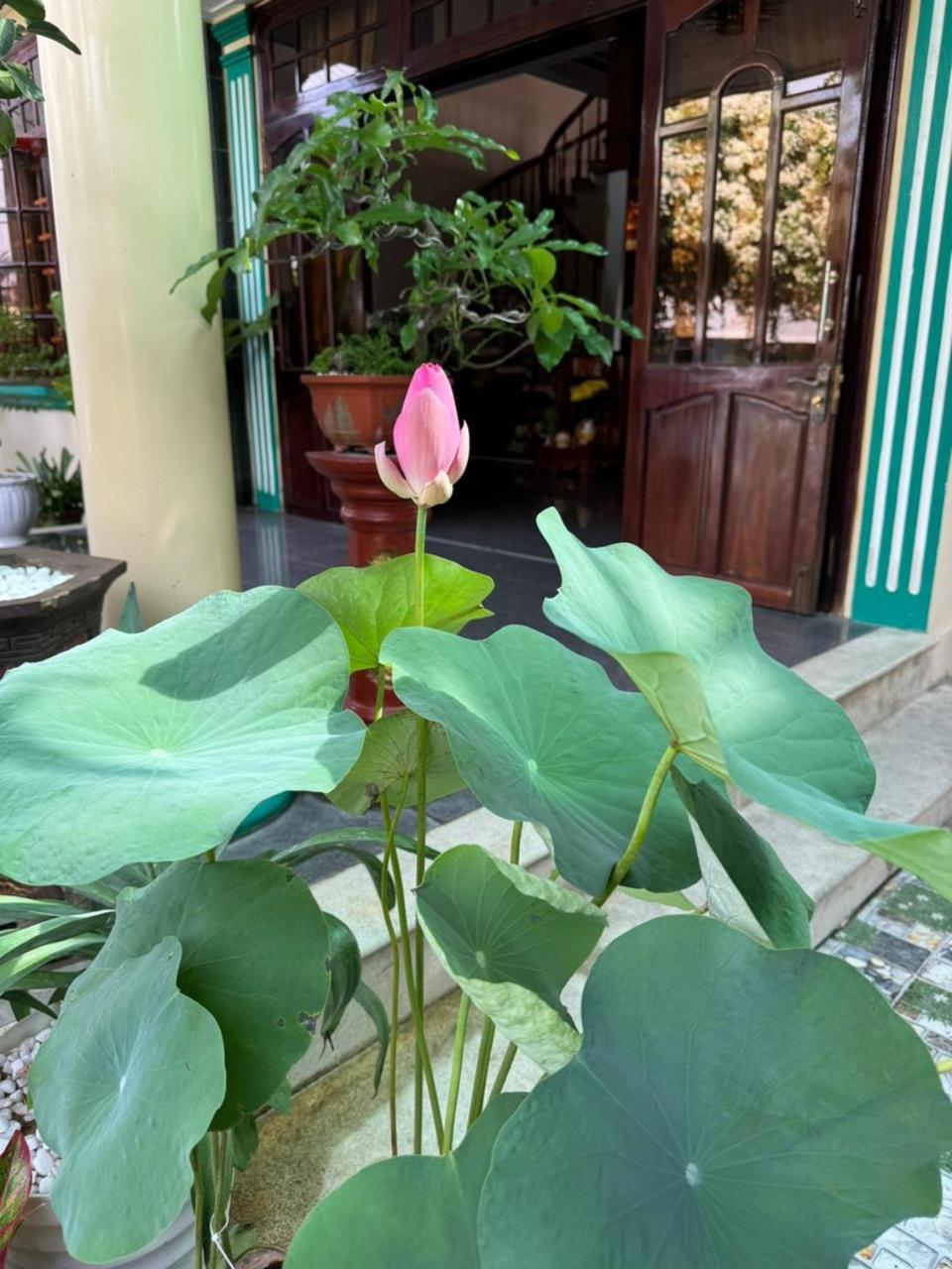 Noel Homestay Tuy Hoa Extérieur photo